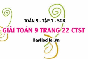 Giải Toán 9 trang 22 tập 1 Chân trời sáng tạo SGK